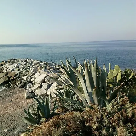 Διαμέρισμα L'alveare